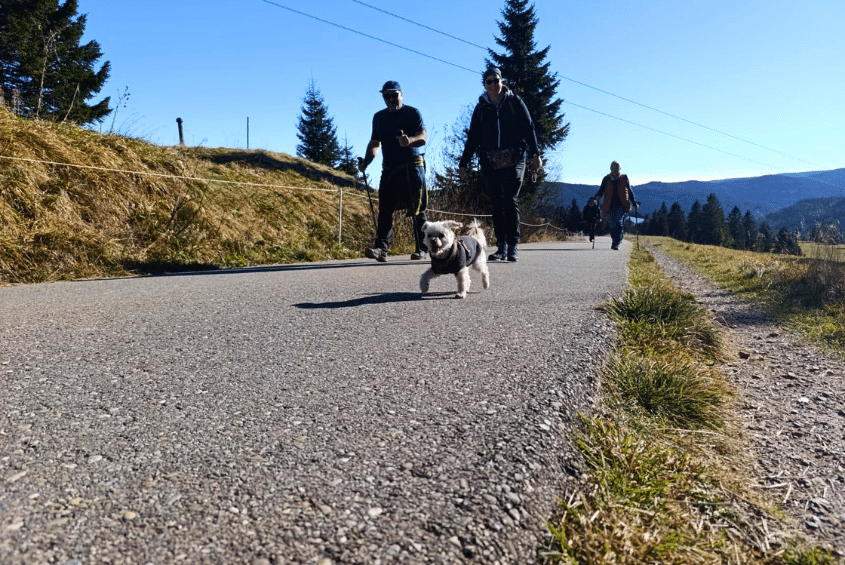 Aktivitäten Schlehdorn Spezial